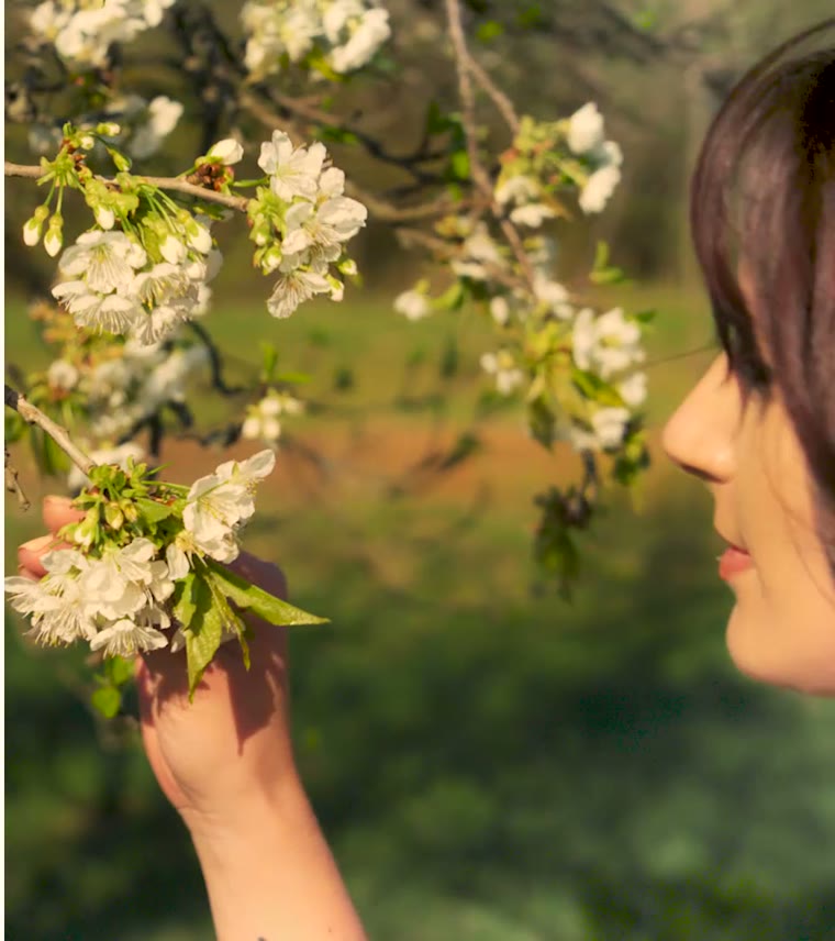 Florile